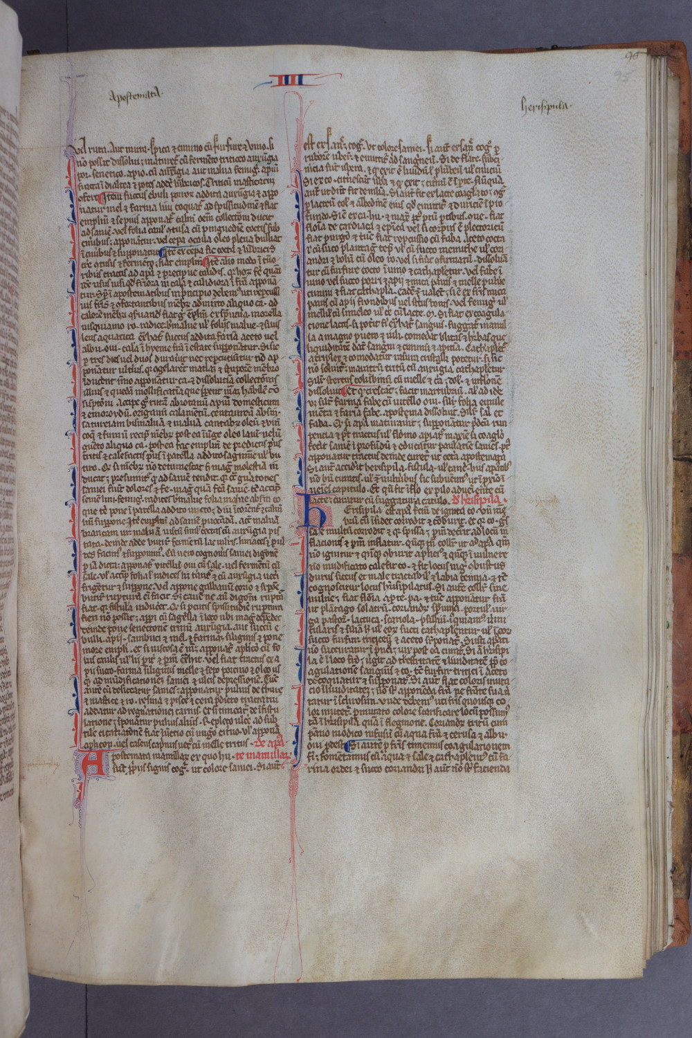 Folio 95 recto
